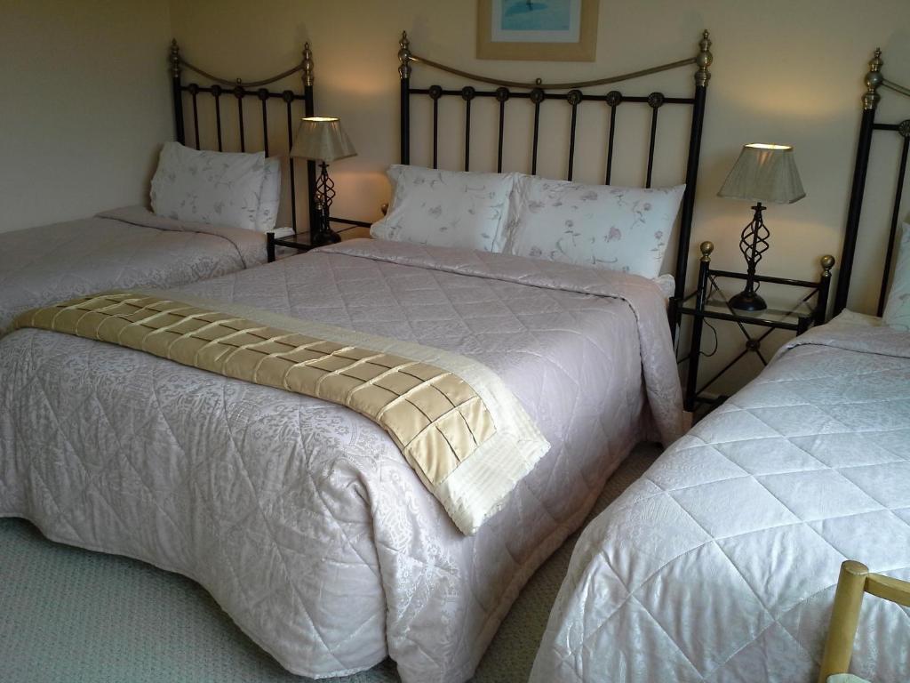 Fern Rock Bed And Breakfast Dromin Room photo